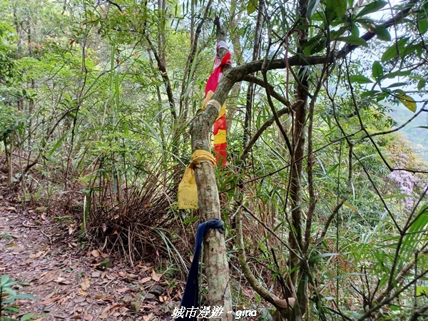 20220416_105635.jpg 20220416_105635.jpg