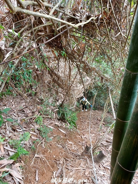 20220416_110307.jpg 20220416_110307.jpg