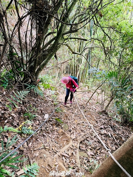 20220416_110213.jpg 20220416_110213.jpg