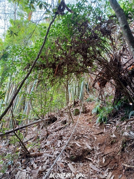 20220416_110212.jpg 20220416_110212.jpg