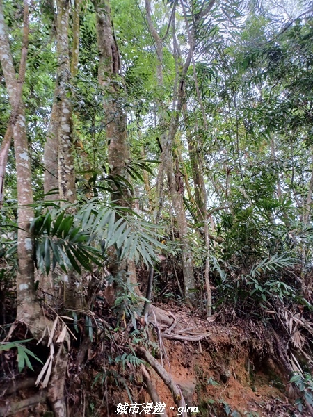 20220416_110925.jpg 20220416_110925.jpg