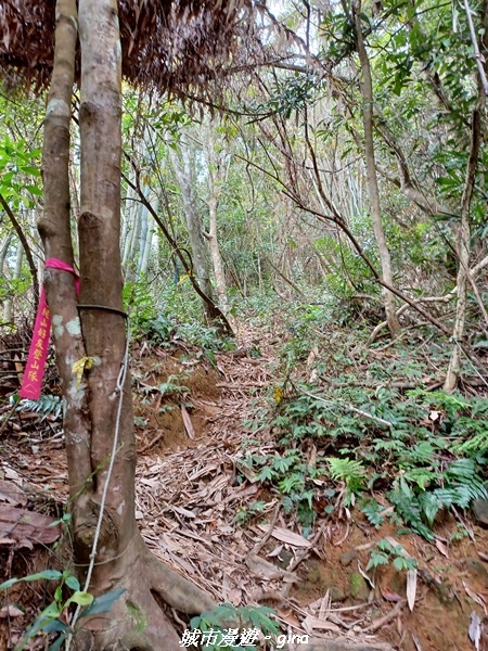 20220416_105905.jpg 20220416_105905.jpg