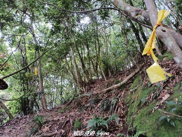 20220416_111614.jpg 20220416_111614.jpg