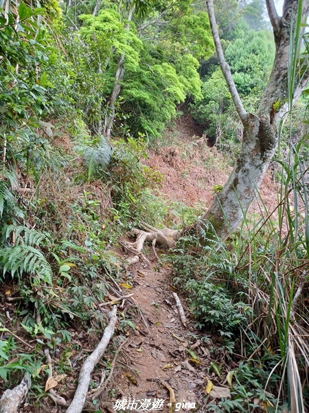 20220416_111358.jpg 20220416_111358.jpg