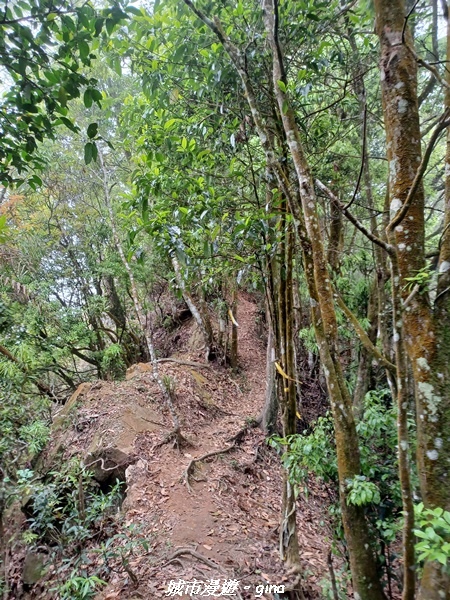 20220416_111941.jpg 20220416_111941.jpg