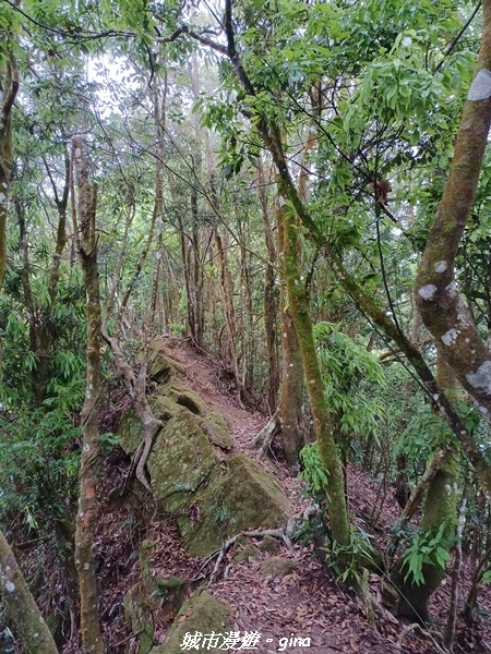 20220416_111851.jpg 20220416_111851.jpg