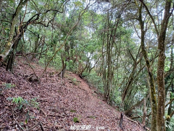 20220416_112210.jpg 20220416_112210.jpg