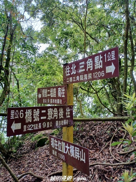 20220416_111836.jpg 20220416_111836.jpg