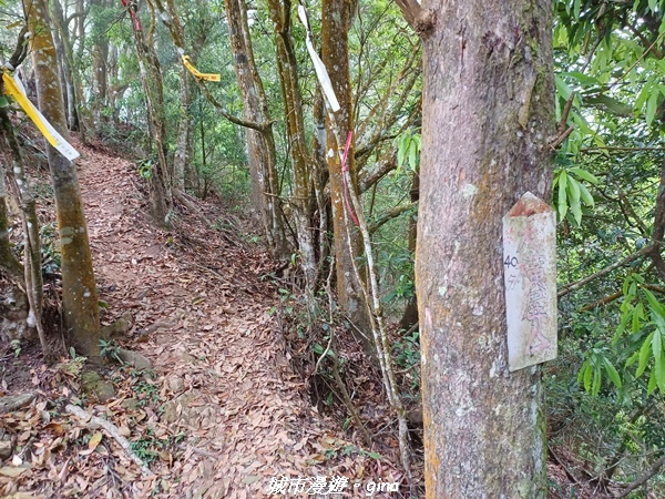 20220416_112005.jpg 20220416_112005.jpg