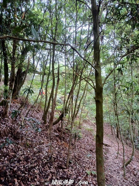 20220416_112901.jpg 20220416_112901.jpg