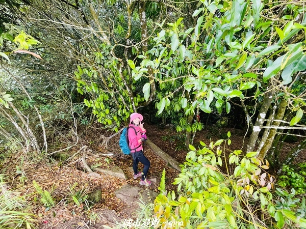 20220416_113044.jpg 20220416_113044.jpg