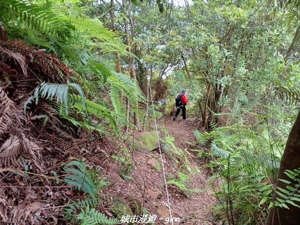 20220416_113047.jpg 20220416_113047.jpg