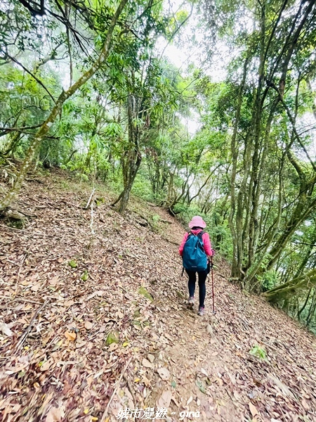 20220416_112211.jpg 20220416_112211.jpg