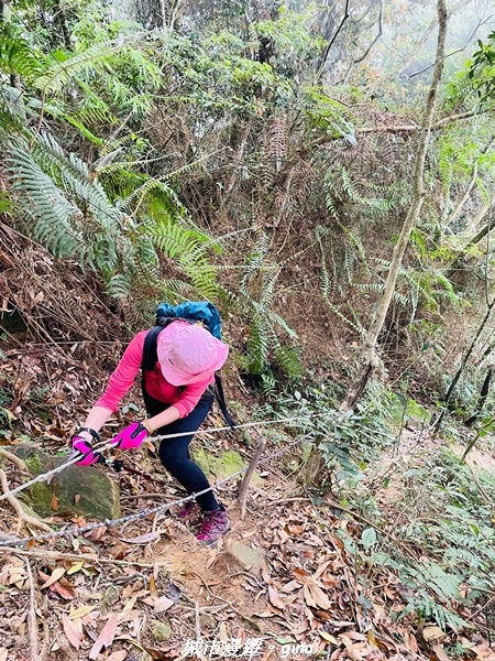 20220416_113048.jpg 20220416_113048.jpg