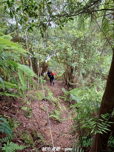 20220416_113045.jpg 20220416_113045.jpg