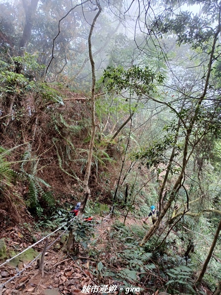 20220416_113419.jpg 20220416_113419.jpg