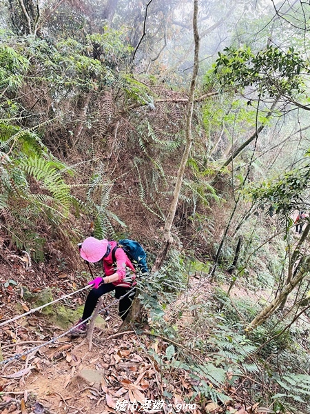 20220416_113049.jpg 20220416_113049.jpg