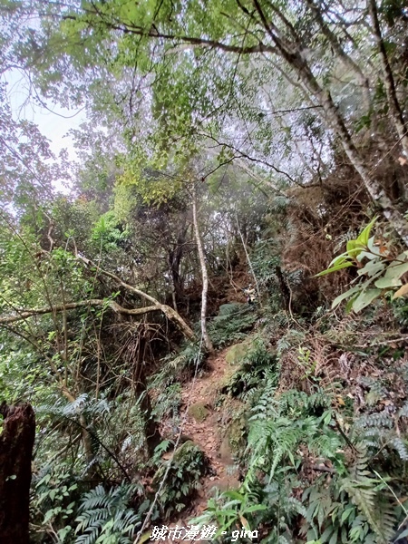 20220416_113651.jpg 20220416_113651.jpg