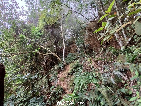 20220416_113654.jpg 20220416_113654.jpg