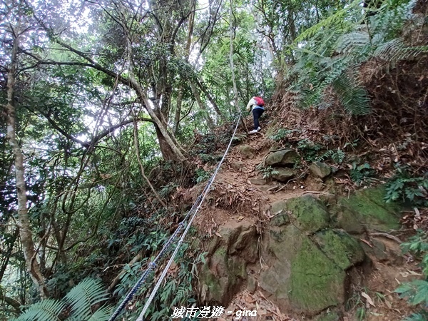 20220416_113554.jpg 20220416_113554.jpg