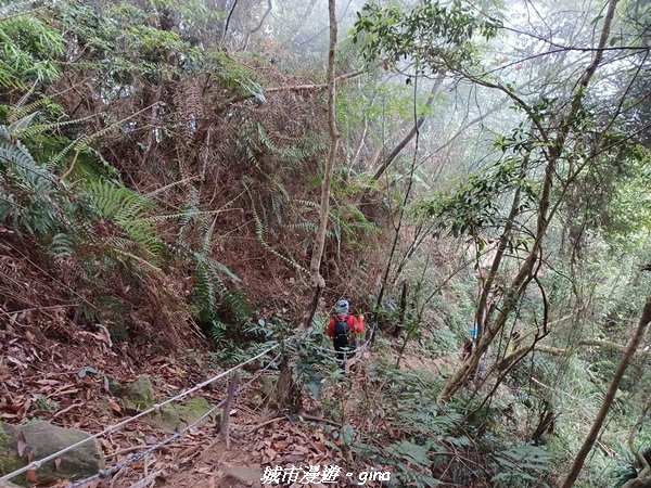 20220416_113422.jpg 20220416_113422.jpg