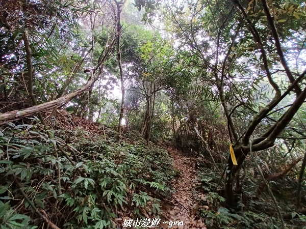 20220416_113824.jpg 20220416_113824.jpg