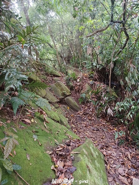 20220416_114127.jpg 20220416_114127.jpg