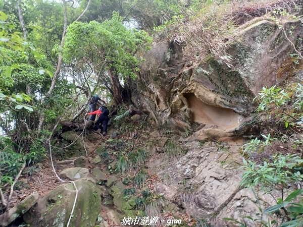 20220416_114208.jpg 20220416_114208.jpg