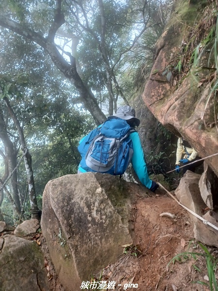 20220416_115245.jpg 20220416_115245.jpg