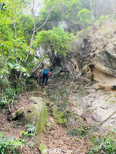 20220416_114213.jpg 20220416_114213.jpg