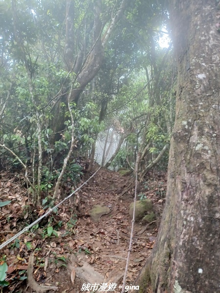 20220416_115900.jpg 20220416_115900.jpg