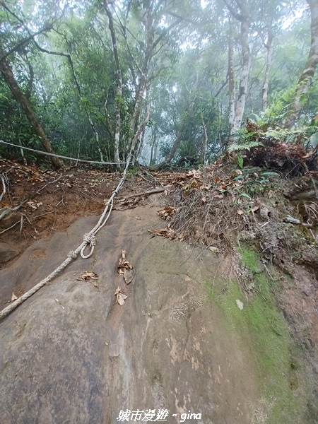 20220416_115634.jpg 20220416_115634.jpg