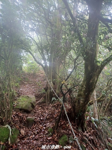 20220416_120202.jpg 20220416_120202.jpg