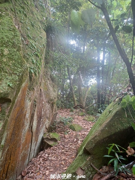 20220416_120104.jpg 20220416_120104.jpg