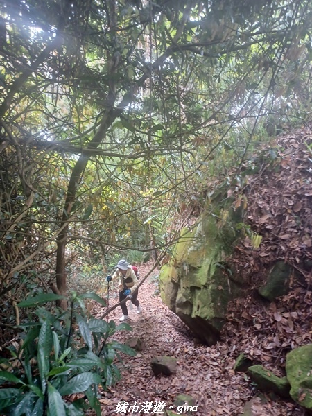 20220416_120154.jpg 20220416_120154.jpg