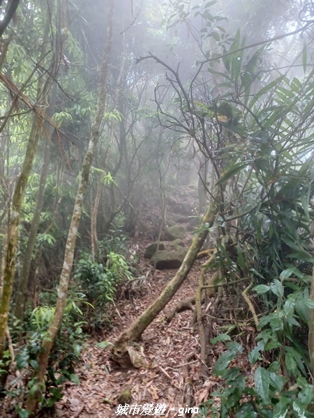 20220416_120017.jpg 20220416_120017.jpg