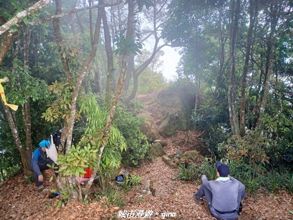 20220416_121341.jpg 20220416_121341.jpg