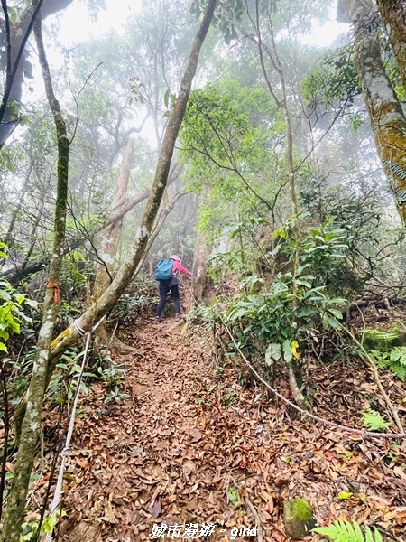 20220416_120203.jpg 20220416_120203.jpg