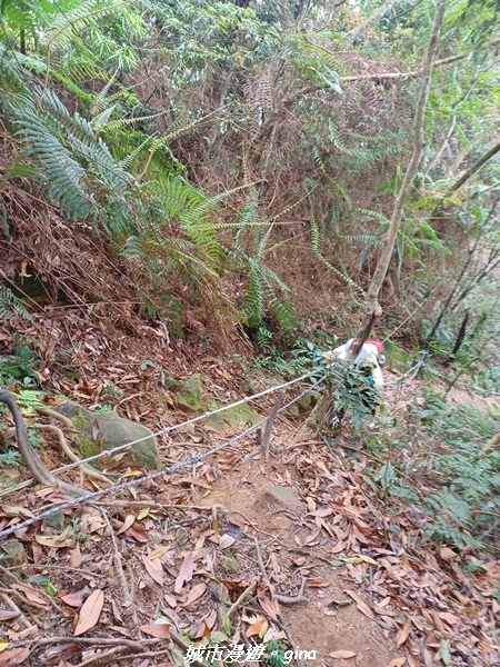 20220416_130622.jpg 20220416_130622.jpg