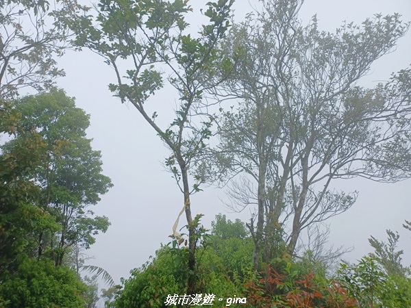 20220416_124453.jpg 20220416_124453.jpg