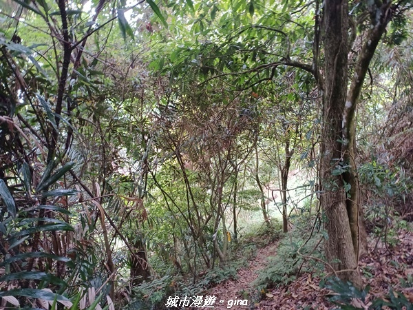 20220416_130304.jpg 20220416_130304.jpg