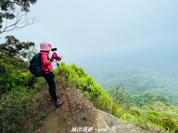 20220416_131460.jpg 20220416_131460.jpg