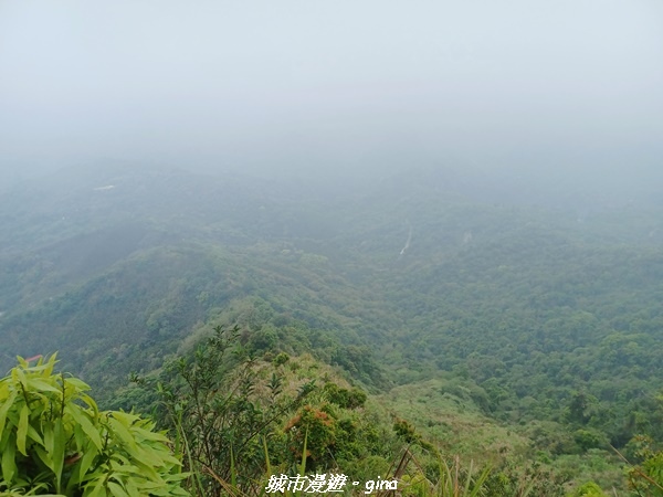 20220416_131511.jpg 20220416_131511.jpg