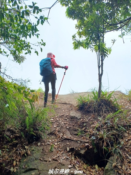 20220416_131459.jpg 20220416_131459.jpg