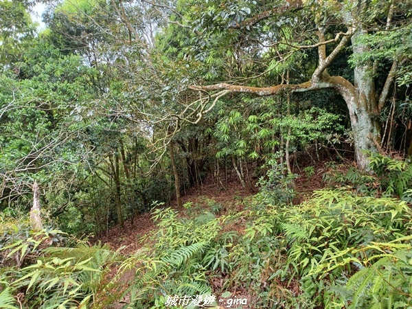 20220416_131036.jpg 20220416_131036.jpg