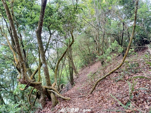 20220416_131852.jpg 20220416_131852.jpg