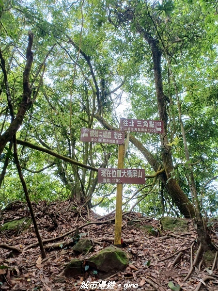 20220416_132613.jpg 20220416_132613.jpg