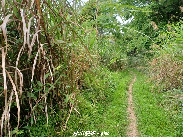 20220416_141910.jpg 20220416_141910.jpg