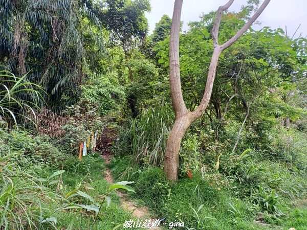 20220416_140938.jpg 20220416_140938.jpg