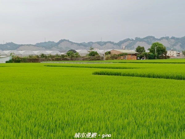 20220416_155240.jpg 20220416_155240.jpg